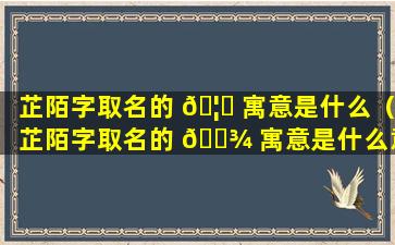 芷陌字取名的 🦁 寓意是什么（芷陌字取名的 🌾 寓意是什么意思）